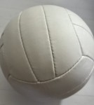 Мяч волейбольный AD